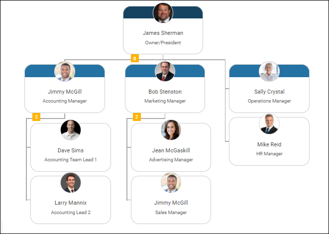 Management Team Structure Chart