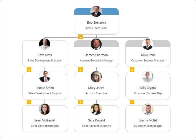 Sales Team Organization Chart