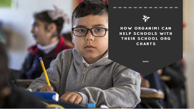 How Organimi Can Help Schools with Their School Org Charts