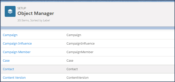 Salesforce Organization Chart