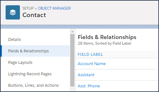 Salesforce Company Org Chart