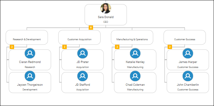 process based org chart template