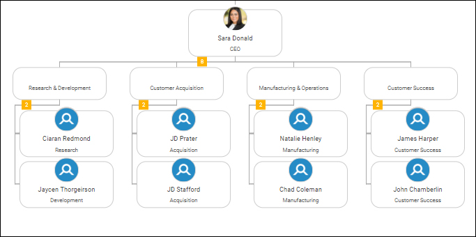 Customer Success Org Chart