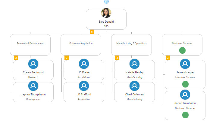 Customer Success Org Chart