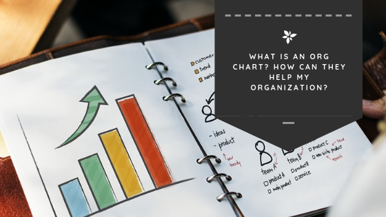 What is an Org Chart? How Can They Help My Organization?