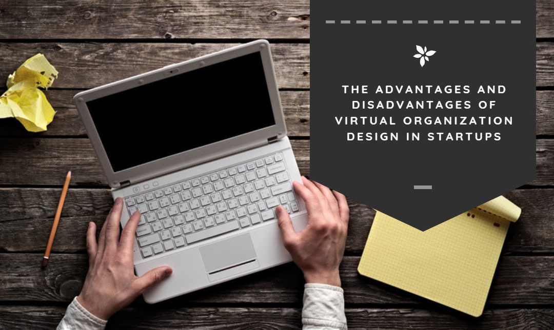 The Advantages and Disadvantages of Virtual Organization Design