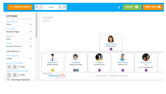 feature print export organizational chart
