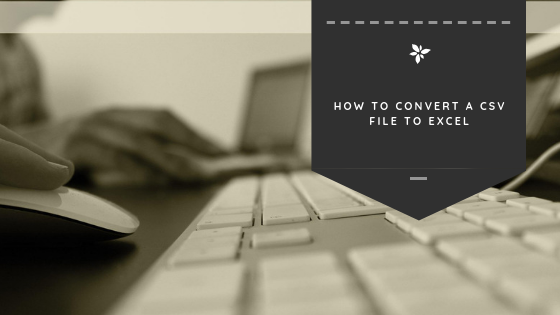 How to Convert a CSV File to Excel