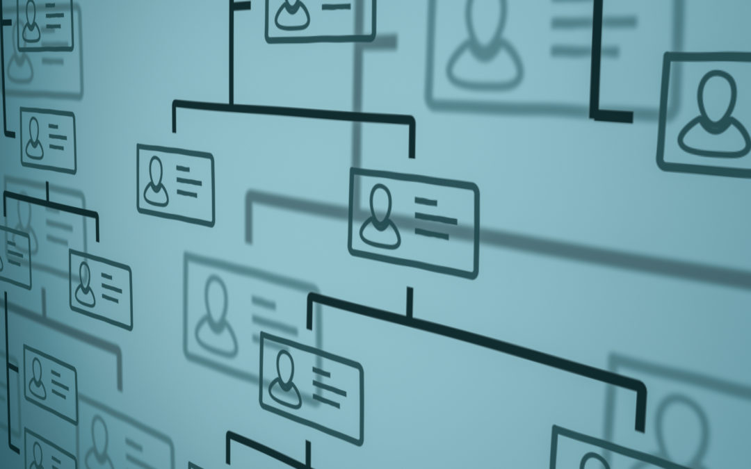 Creating an Org Chart: Our Guide for SMBs in 2023 | Organimi