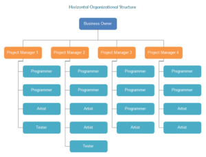 horizontal-organizational-structure - Organimi