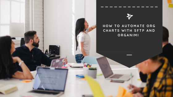How to Automate Org Charts With sFTP and Organimi