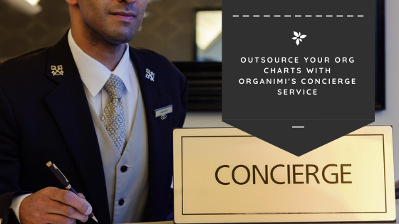 Outsource Your Org Charts With Organimi’s Concierge Service