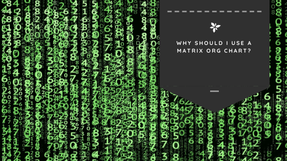 Why Should I Use a Matrix Org Chart?