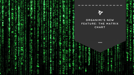 Organimi’s New Feature: The Matrix Chart