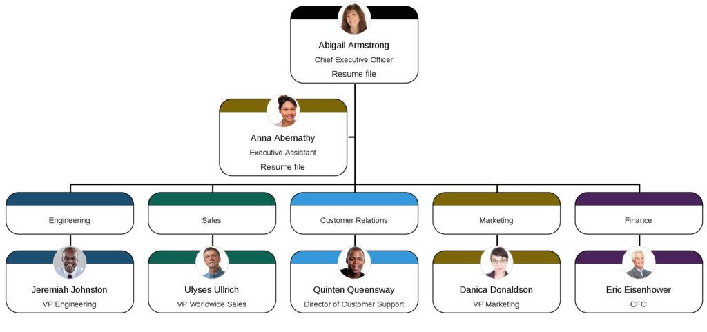 ceo accounting department organizational chart