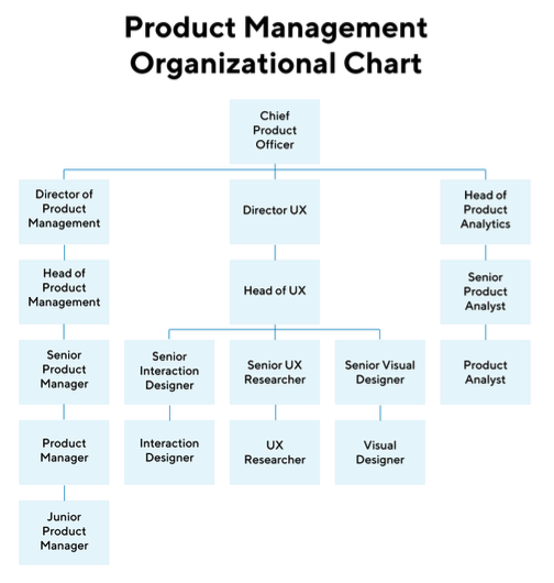 An example of a product management organizational chart. 