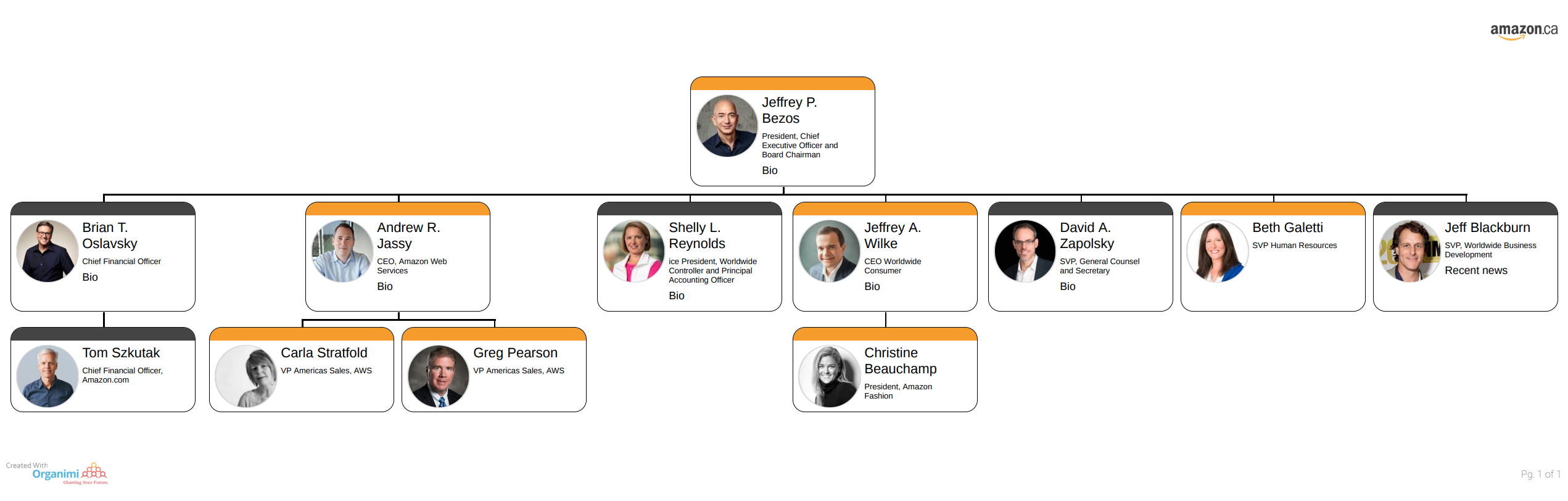 Amazon's Organizational Structure