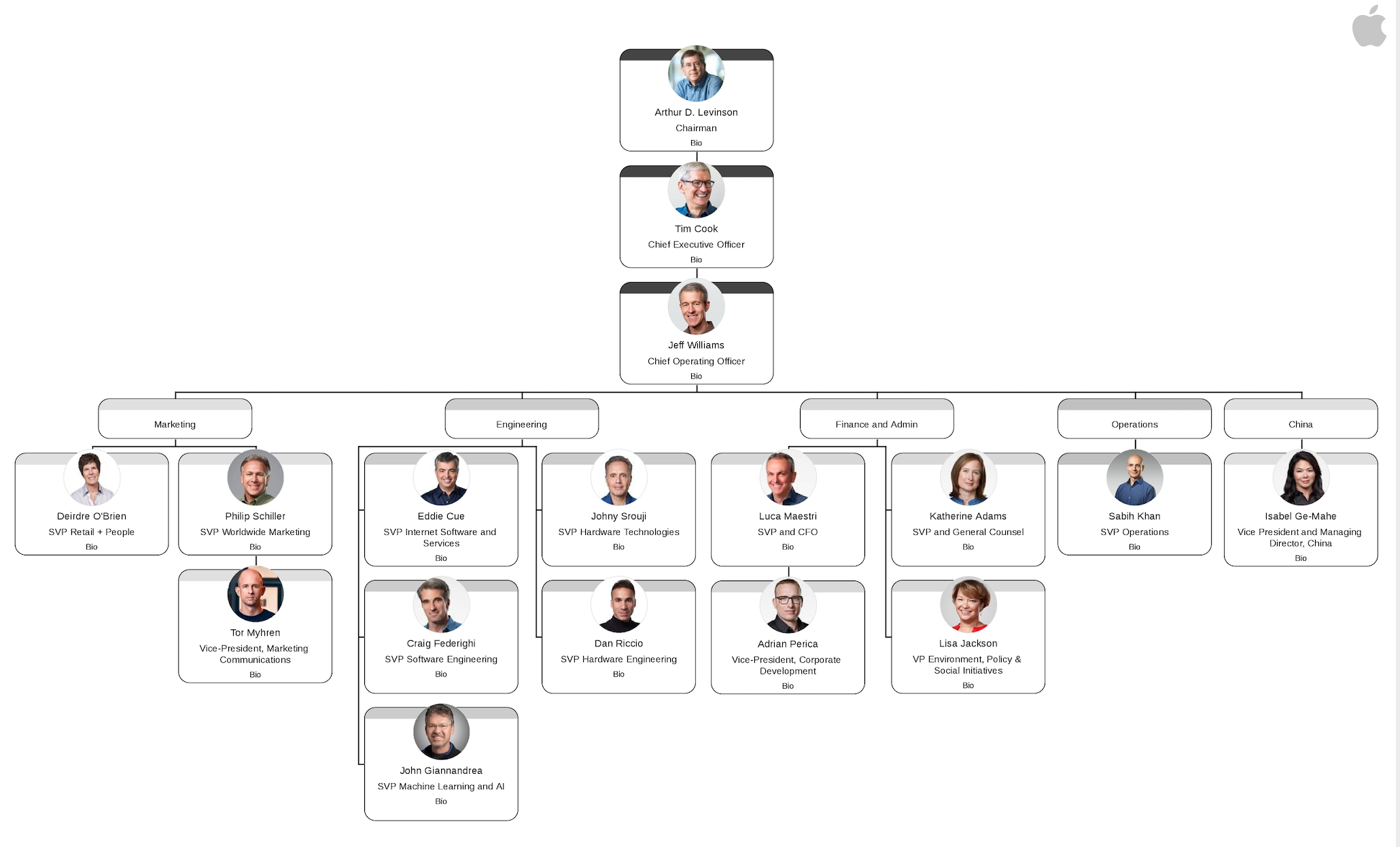 apple organizational structure chart