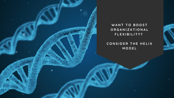 Want to Boost Organizational Flexibility? Consider the Helix Model