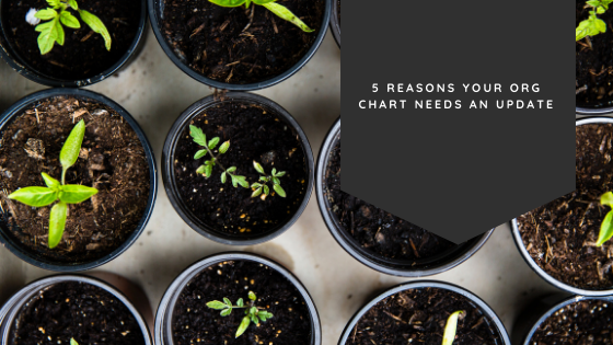 5 Reasons Your Org Chart Needs An Update