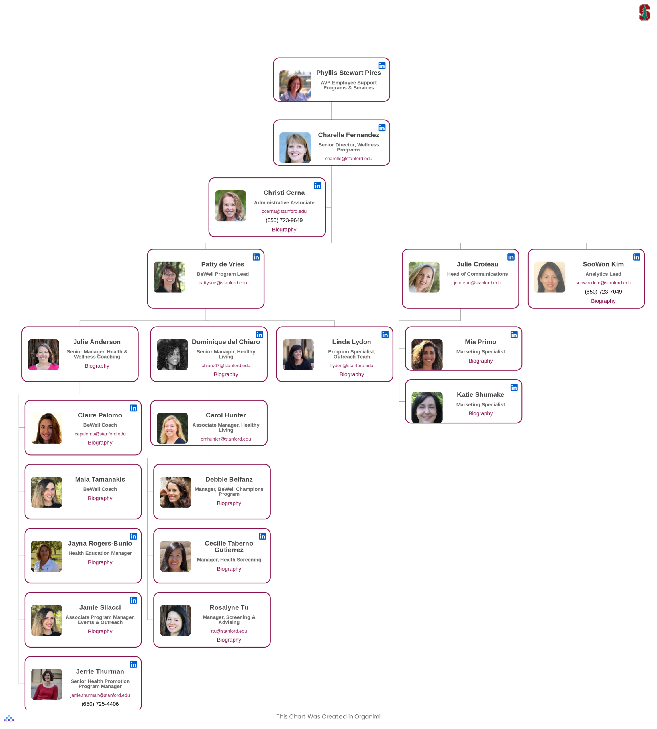 Stanford's Organizational Structure