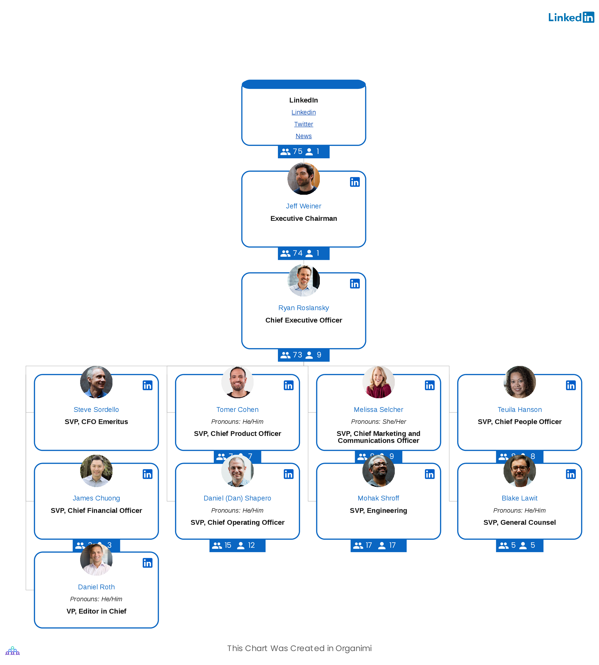 LinkedIn Corporate Organizational Structure