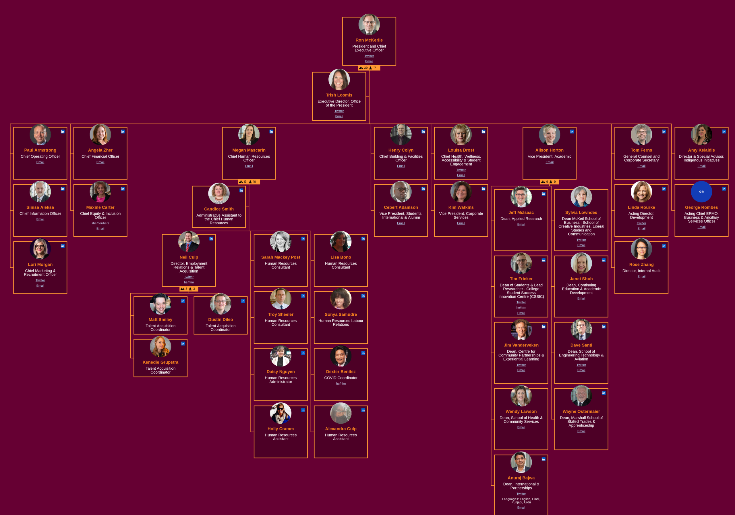 NonProfit Organizational Chart  Org chart for Board of Directors