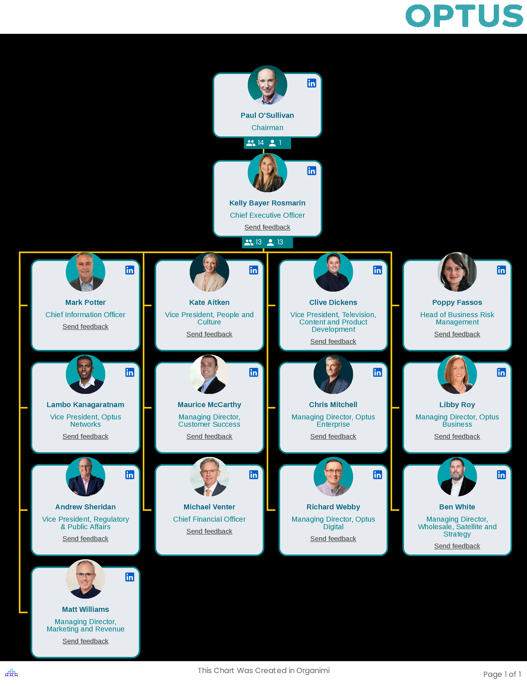 Optus Corporate Organizational Structure