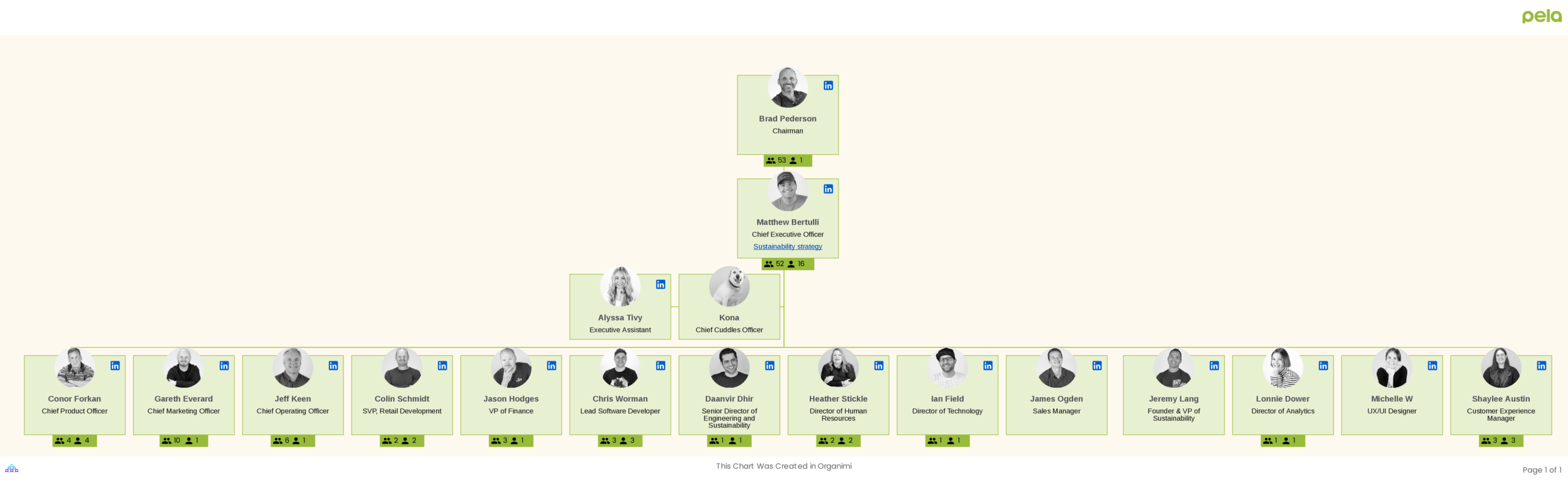 Pela Corporate Organizational Structure