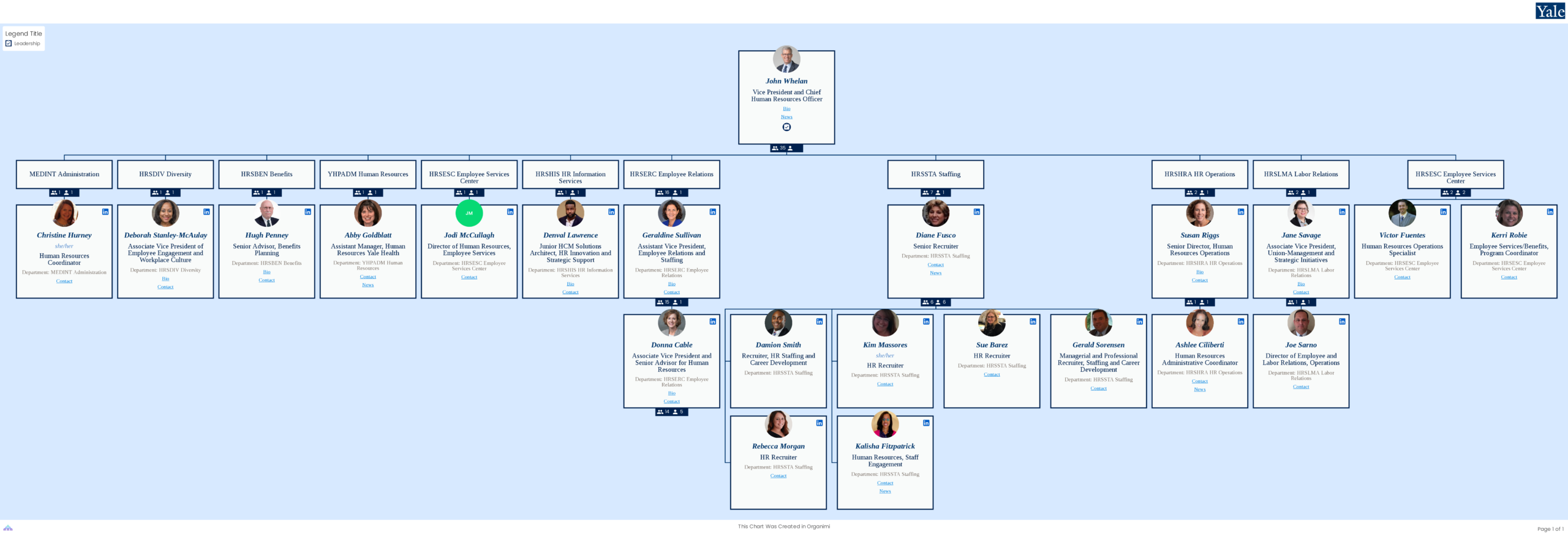 Yale Corporate Organizational Structure