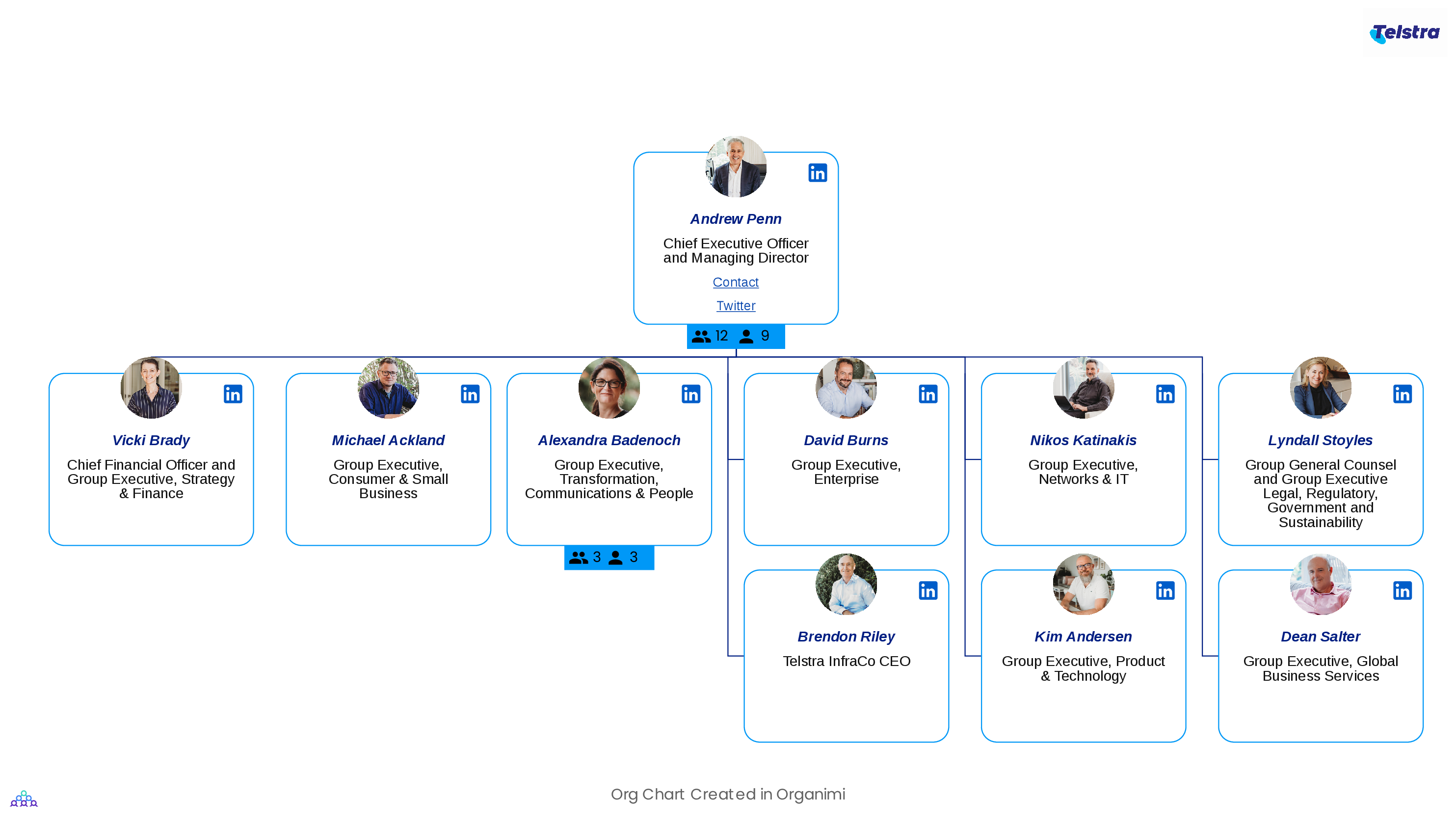 Telstra's Corporate Organizational Structure