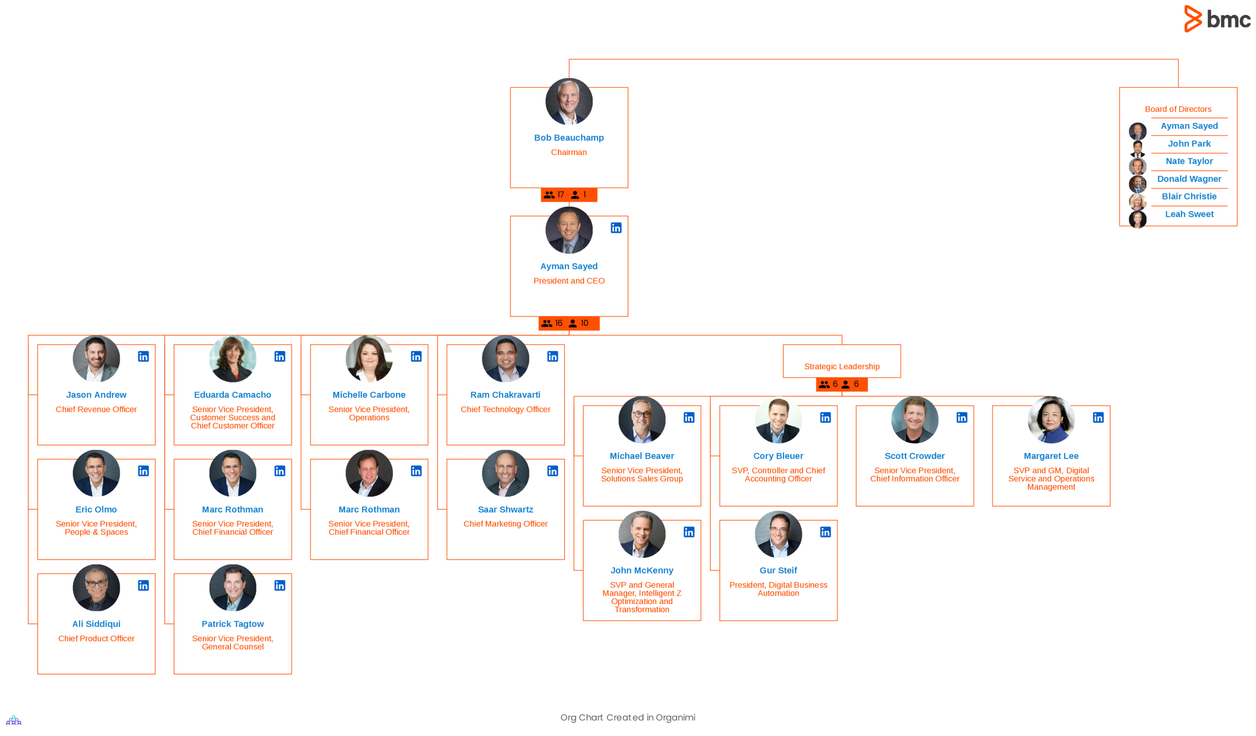 BMC Software's Corporate Organizational Structure