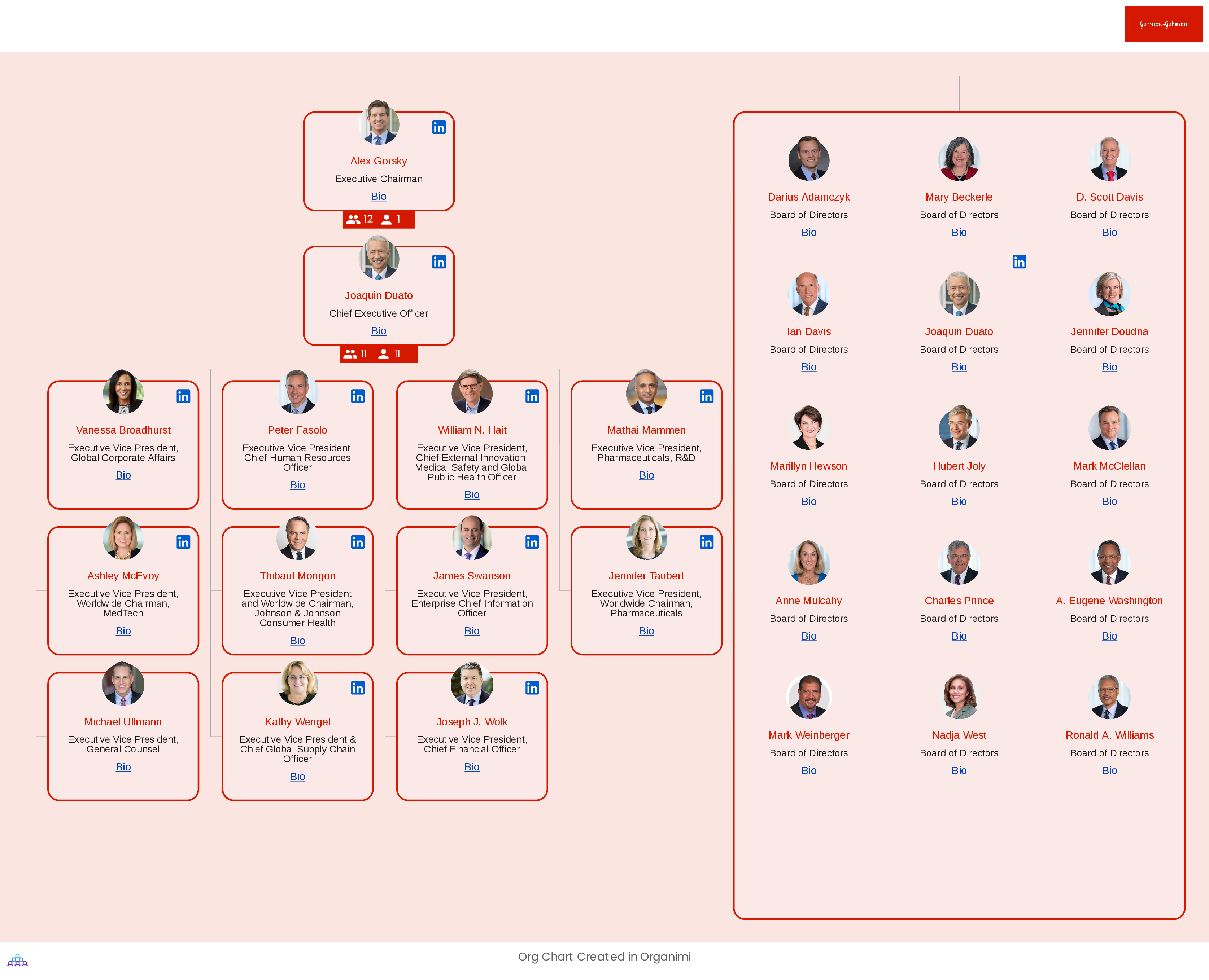 Johnson & Johnson's Organizational Structure Org Chart