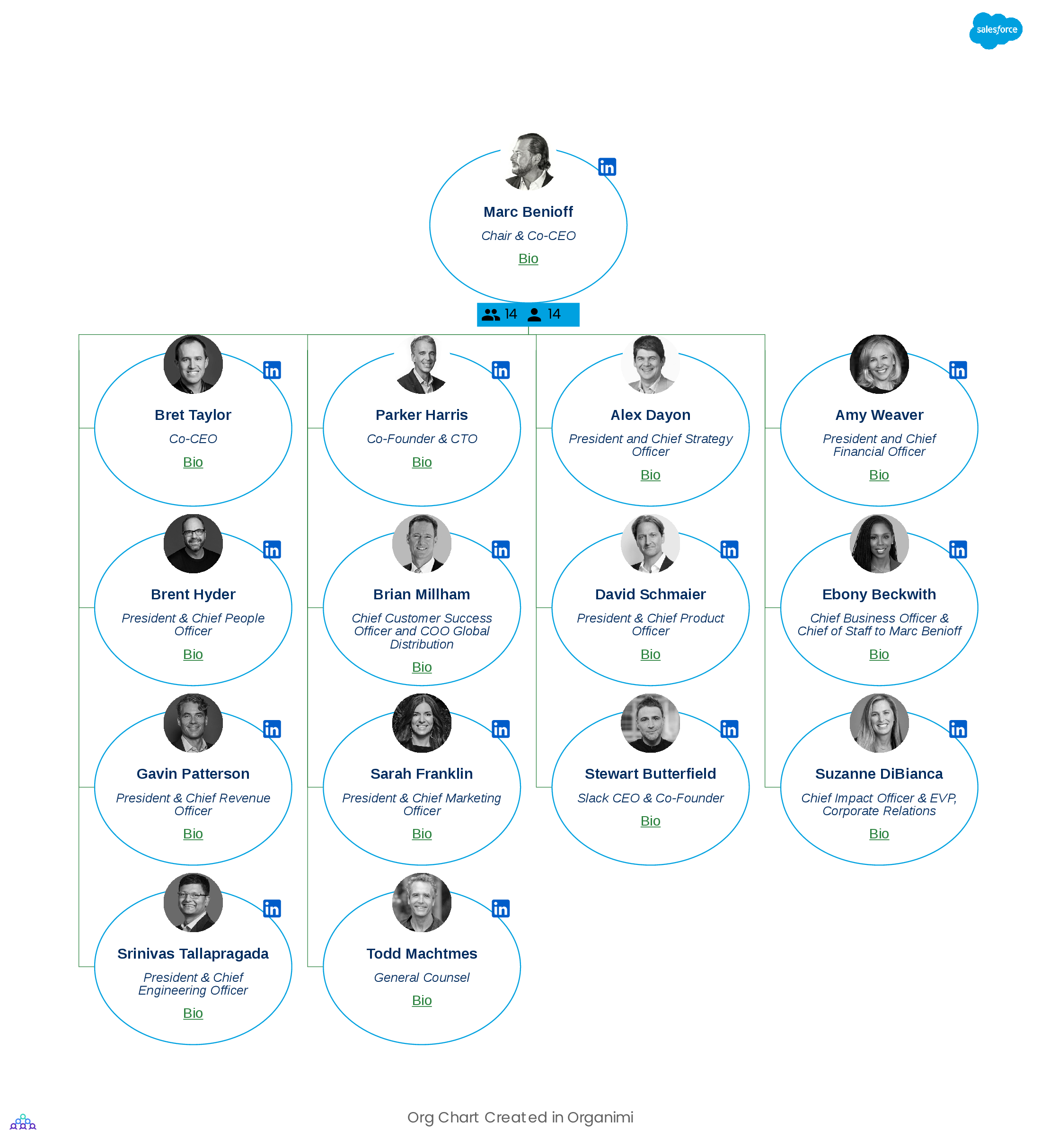 Salesforce's Organizational Structure Org Chart
