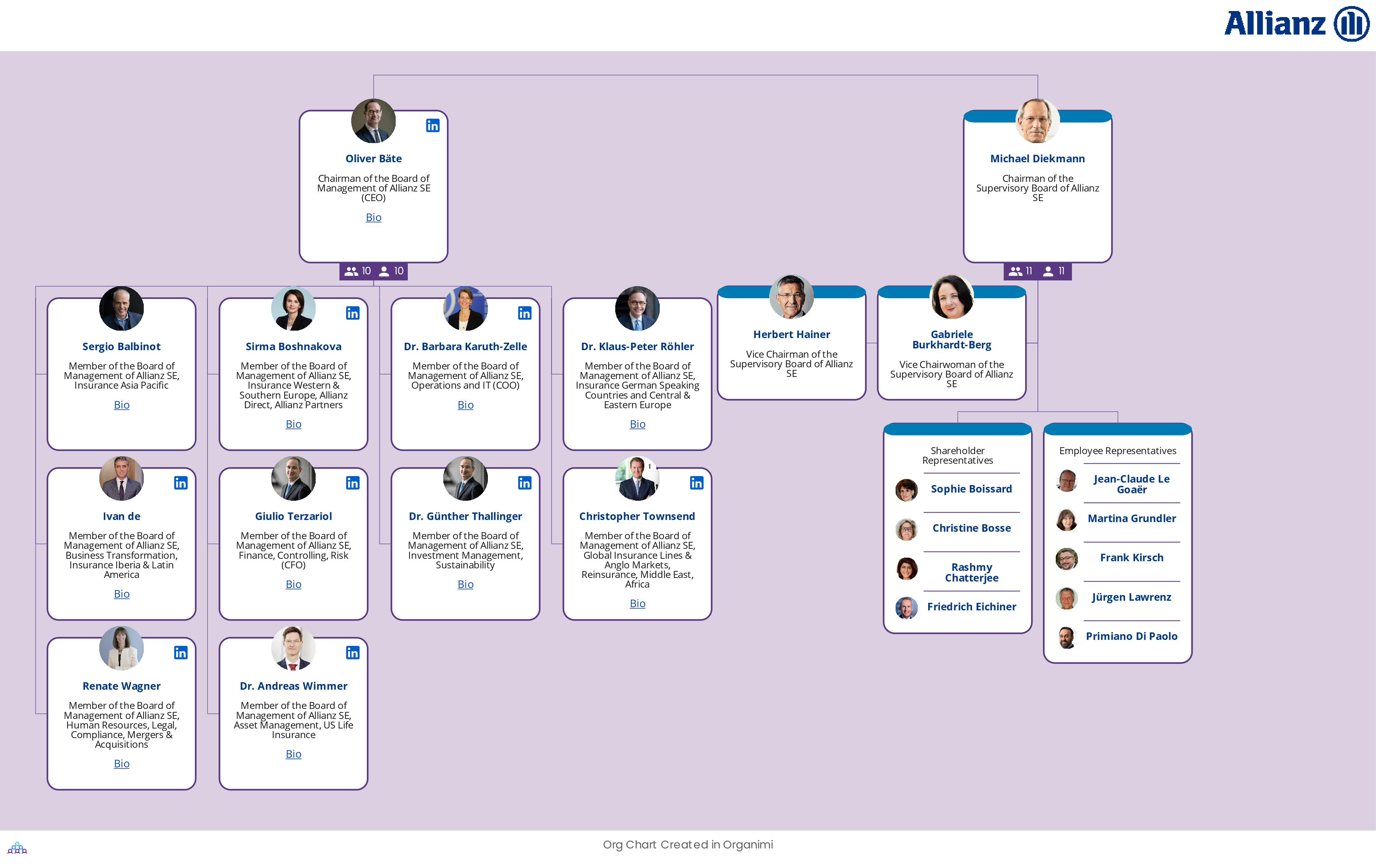 Allianz's Organizational Structure Org Chart