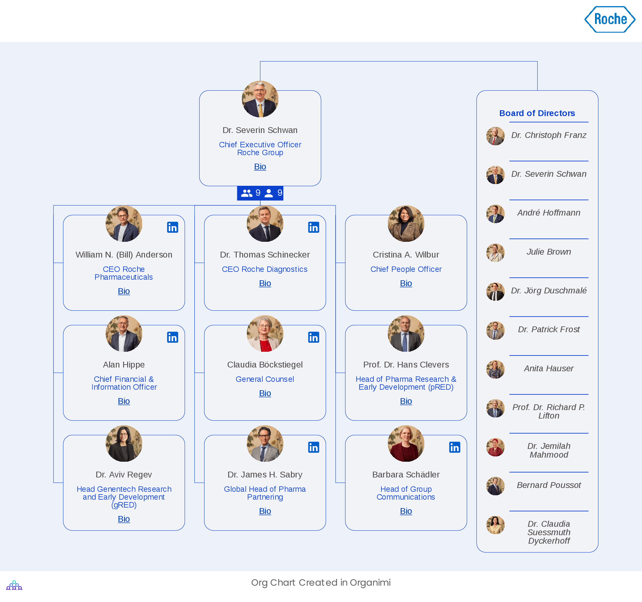 Roche's Organizational Structure Org Chart