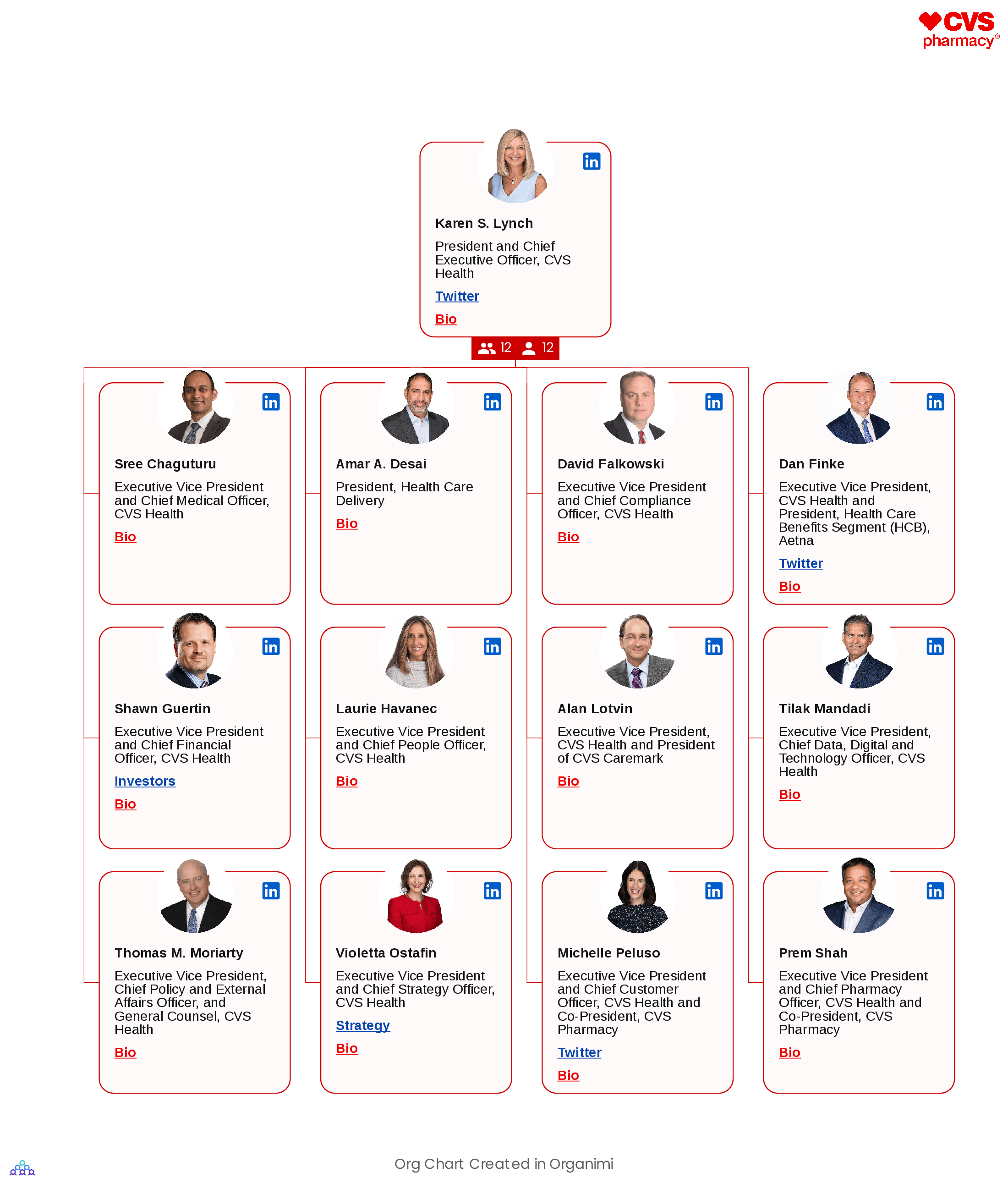 CVS Health's Organizational Structure Org Chart