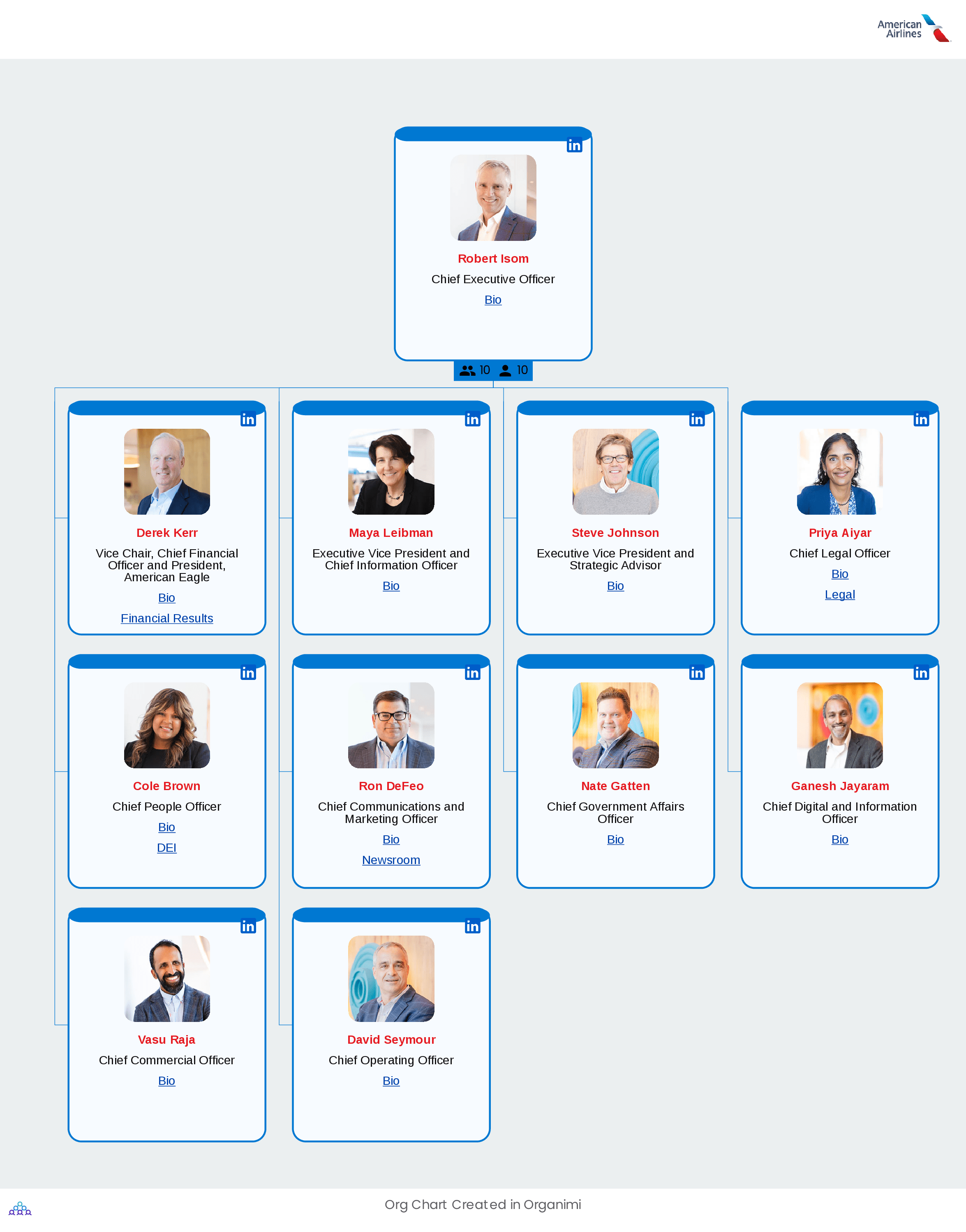 American Airlines' Organizational Structure Org Chart