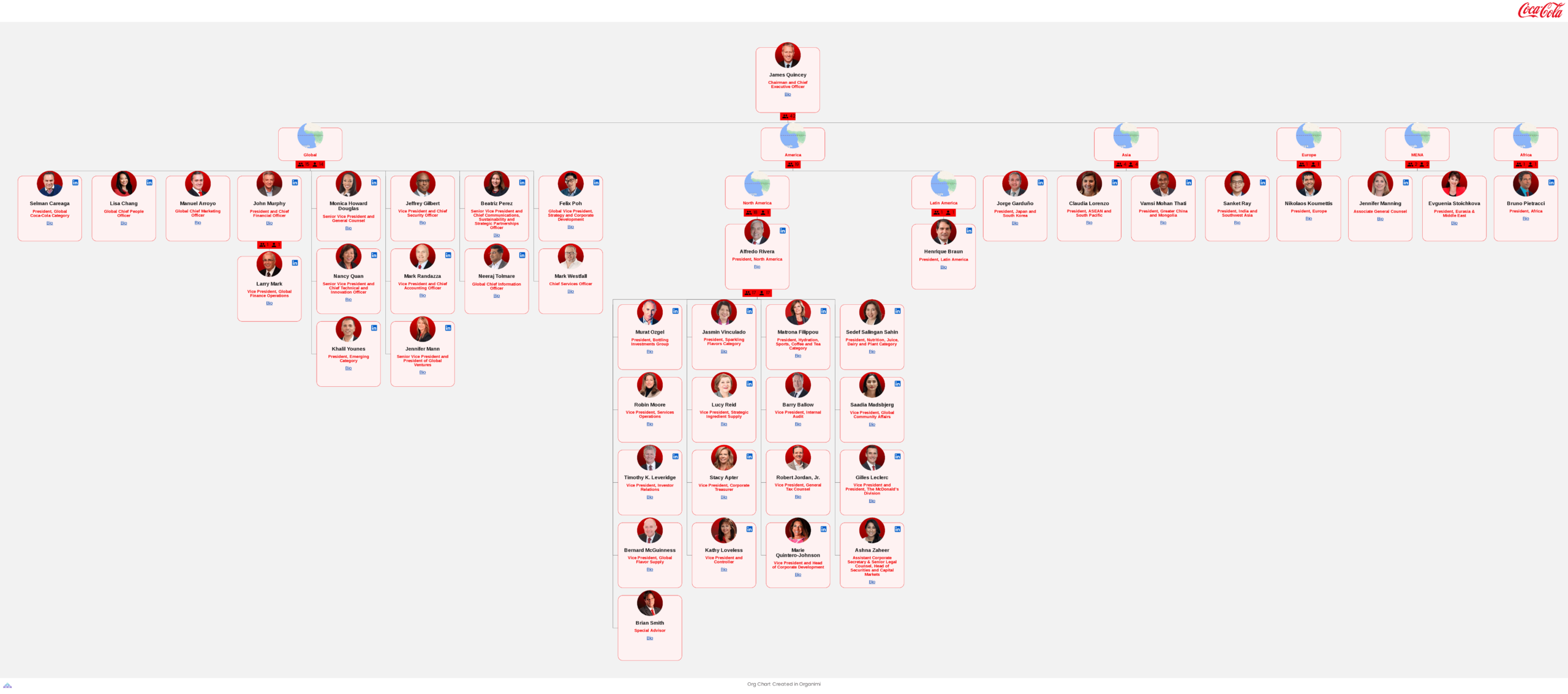 The Coca-Cola Company's Organizational Structure Org Chart