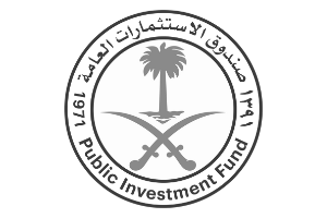 Saudi Public Investment Fund