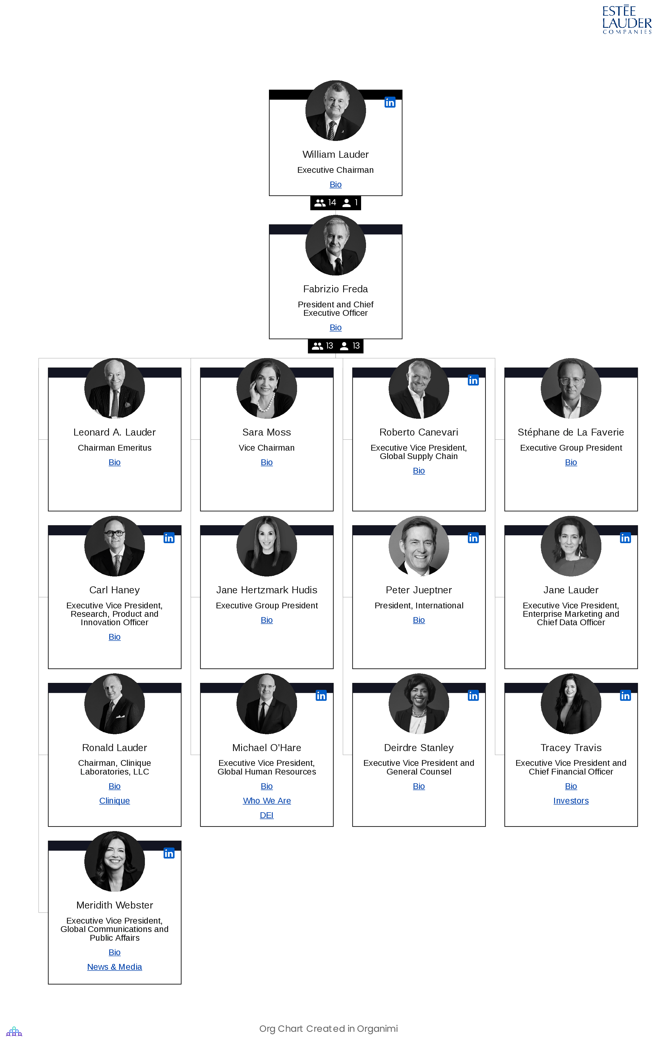 Estee Lauder's Organizational Structure Org Chart