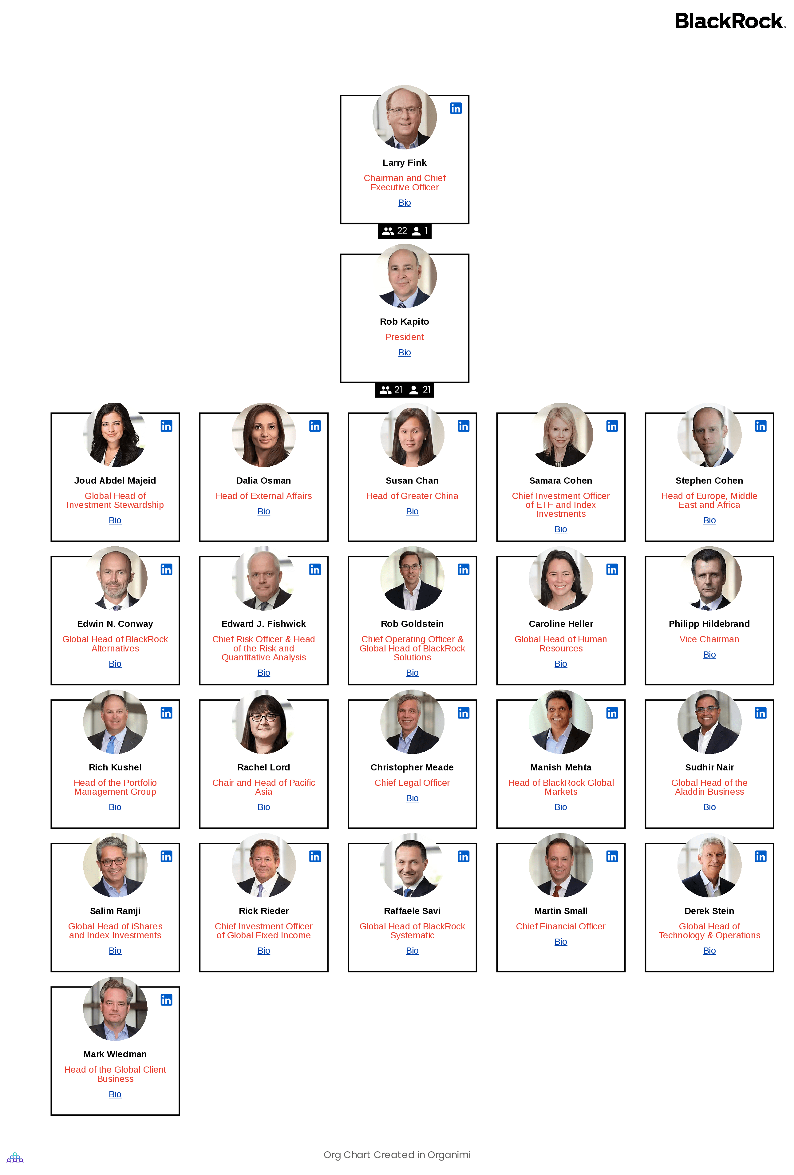 BlackRock's Organizational Structure Org Chart