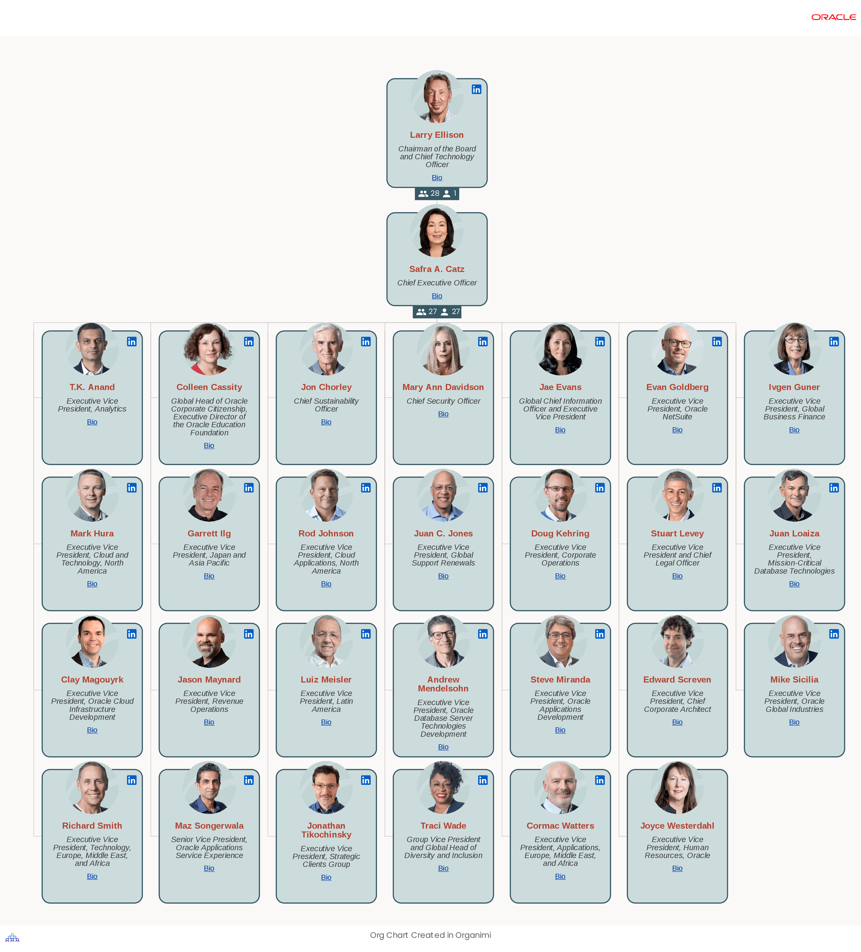 Oracle's Organizational Structure Org Chart