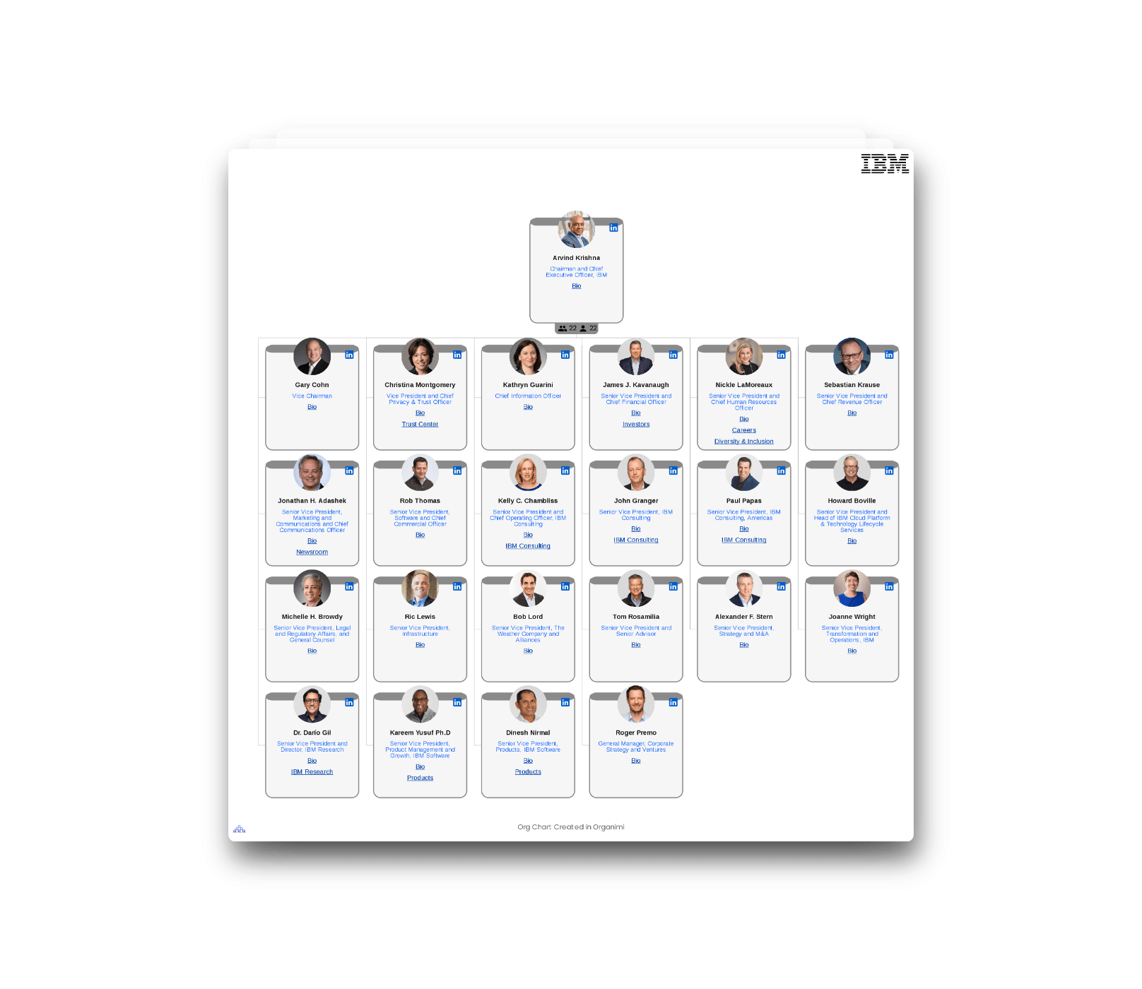 IBM's Organizational Structure [Interactive Chart] Organimi