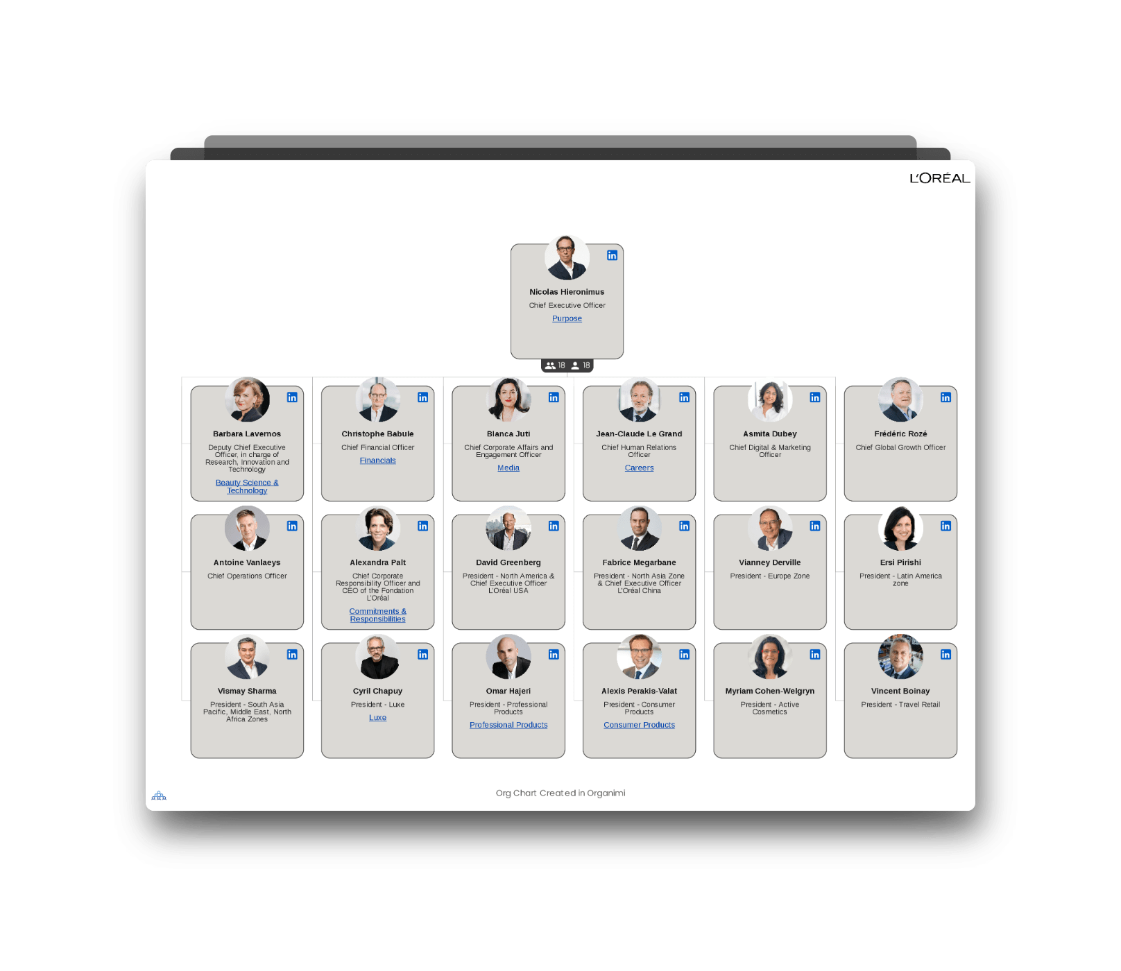 L'Oreal's Organizational Structure Chart