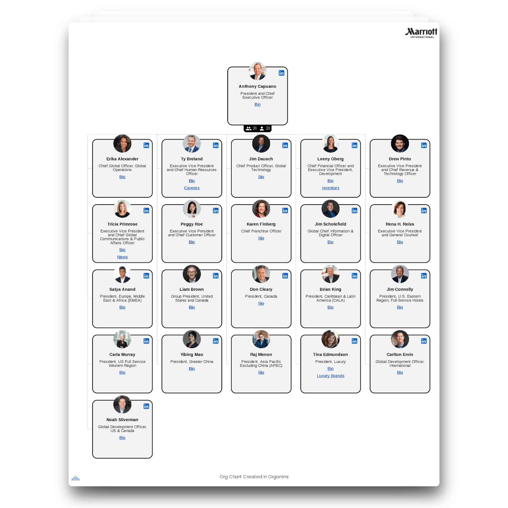 Marriott's Organizational Structure Chart