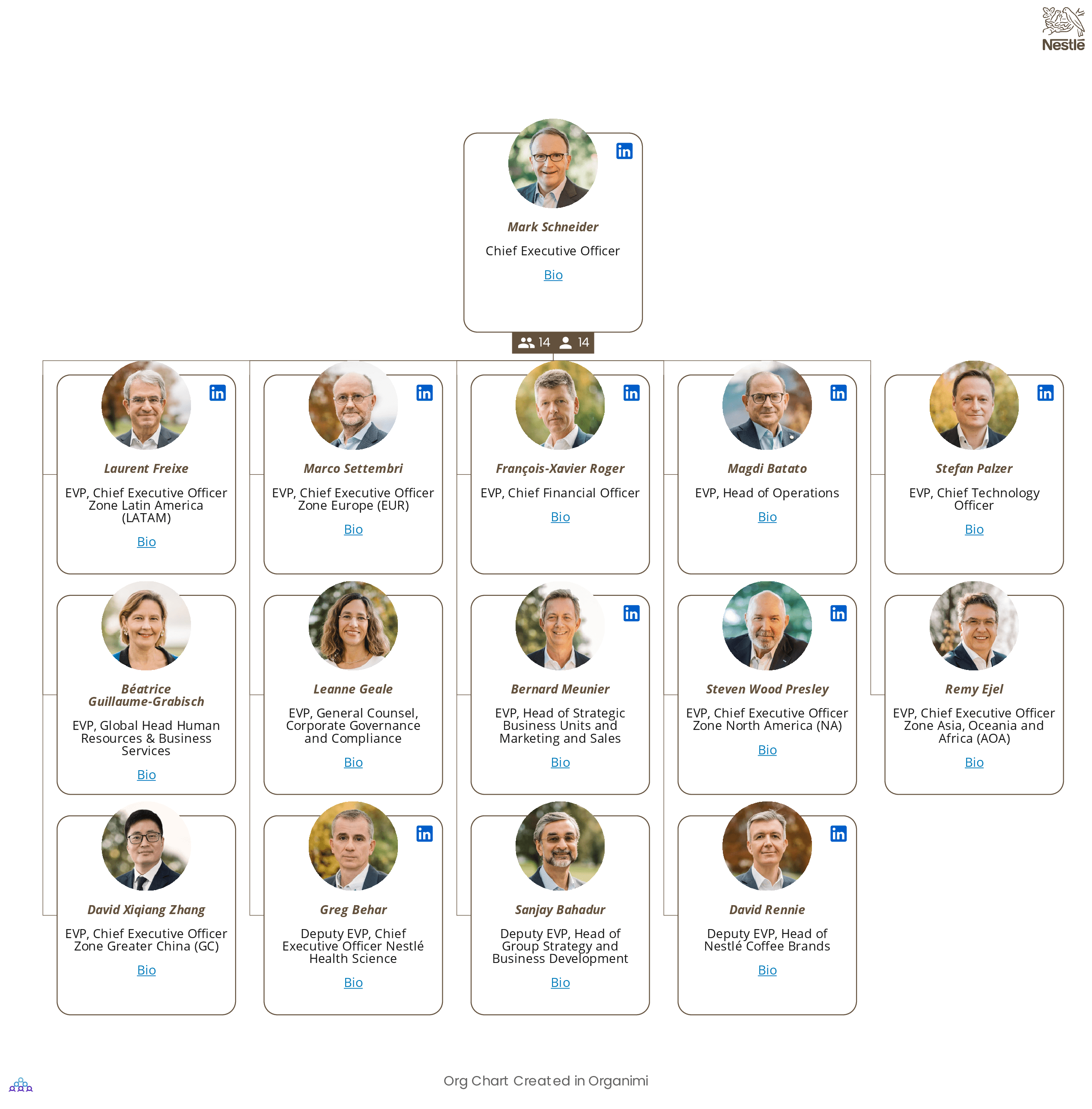 Nestle's Organizational Structure Org Chart