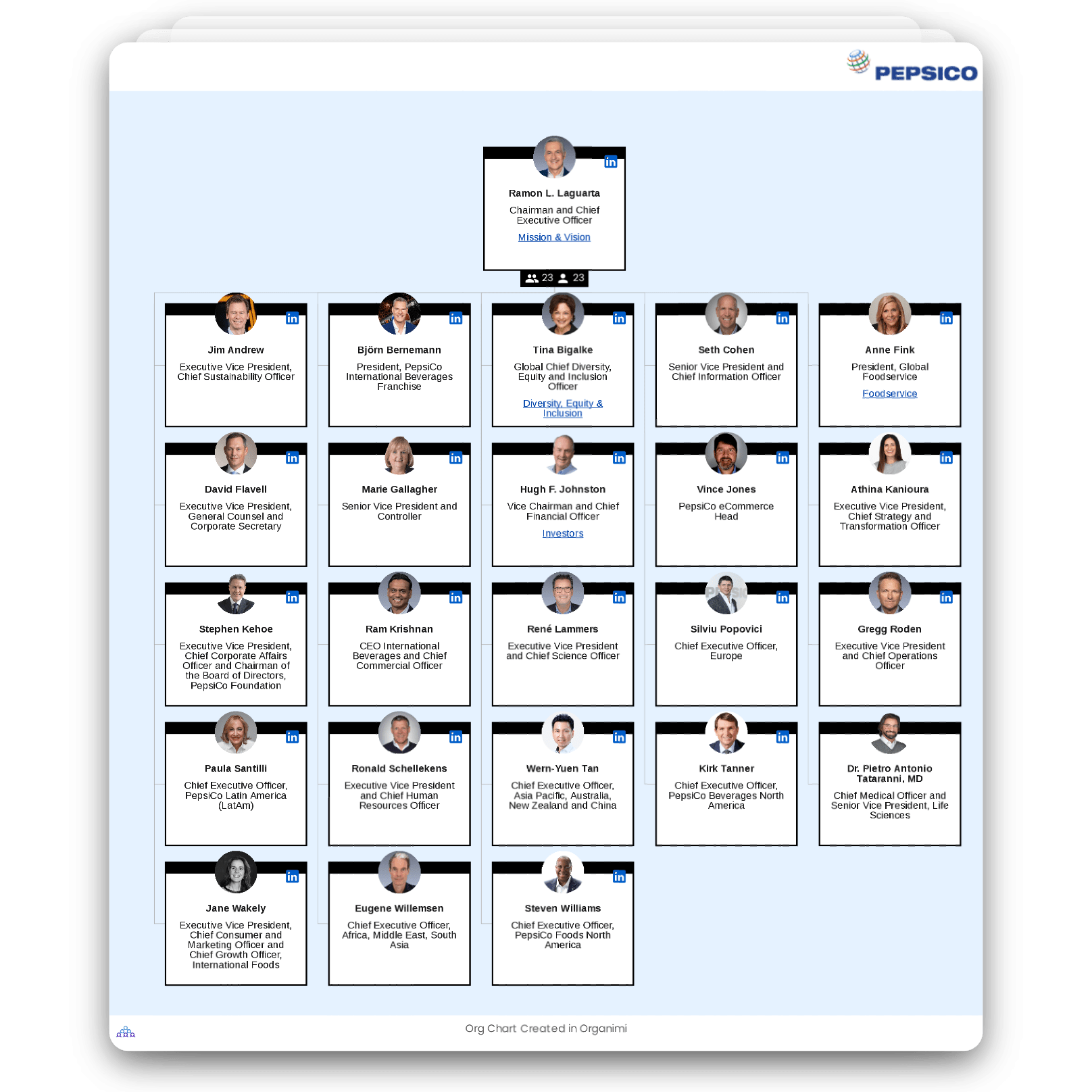 Pepsicos Organizational Structure Interactive Chart Organimi