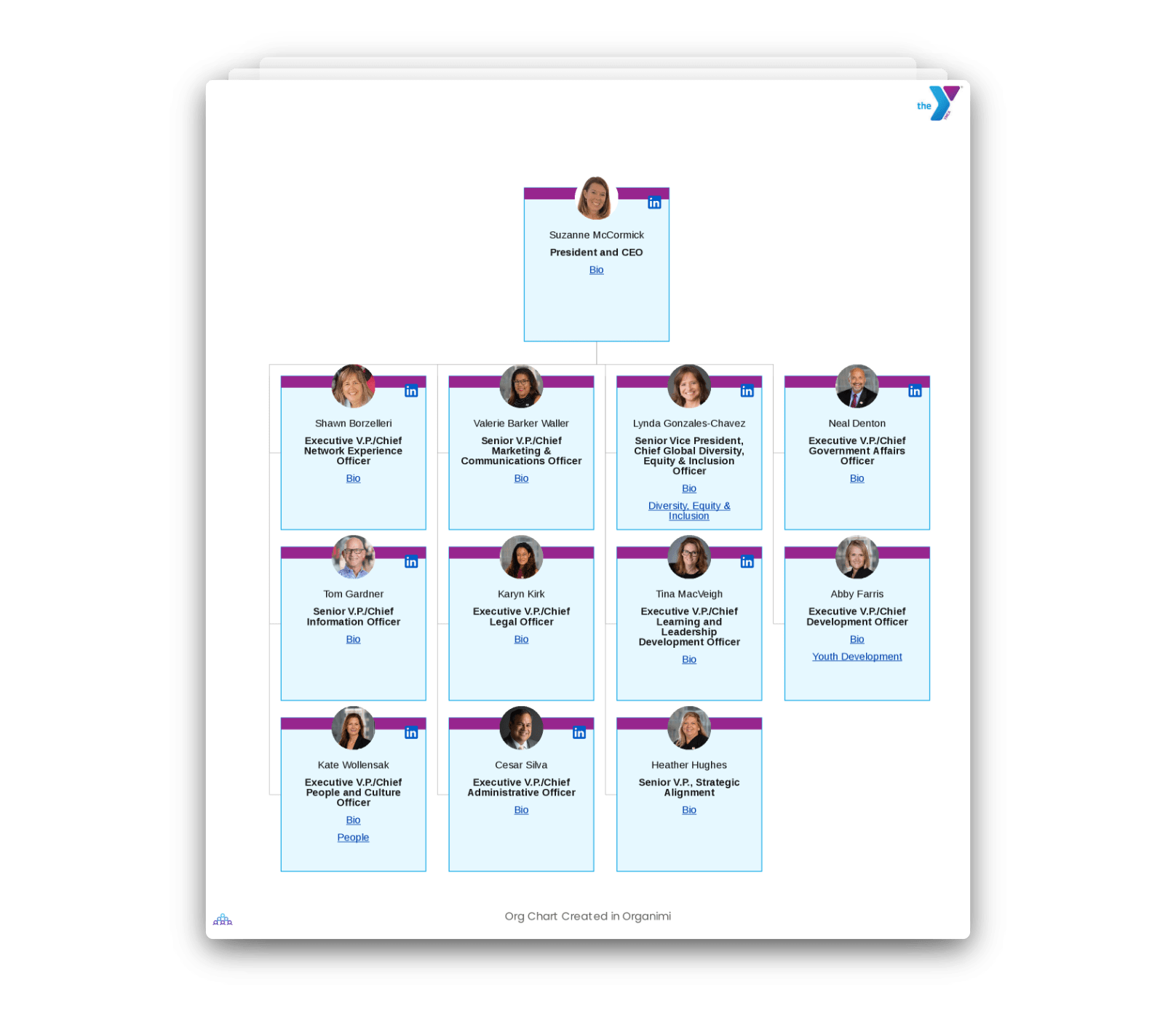 YMCA's Organizational Structure Chart