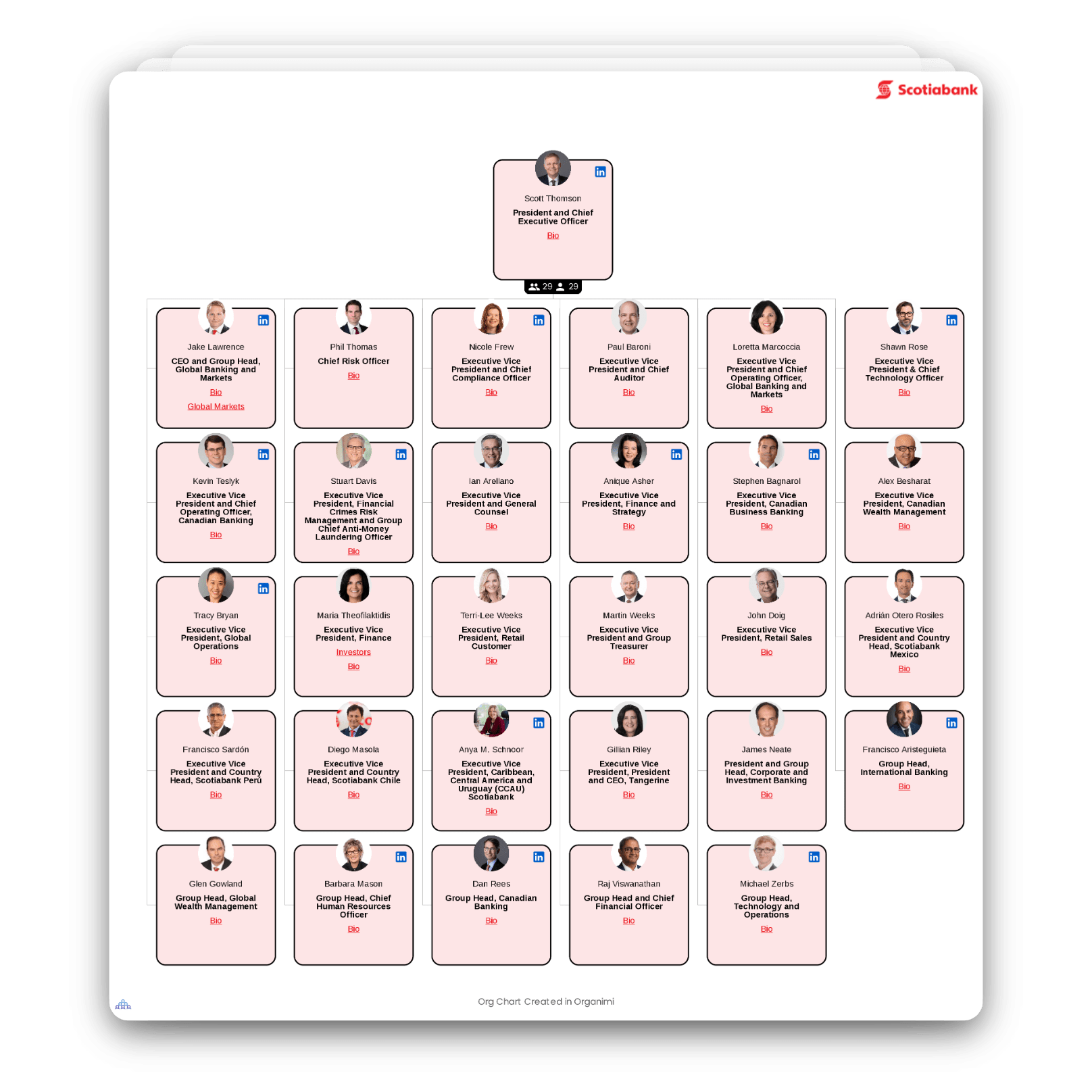 Scotiabank's Organizational Structure Chart